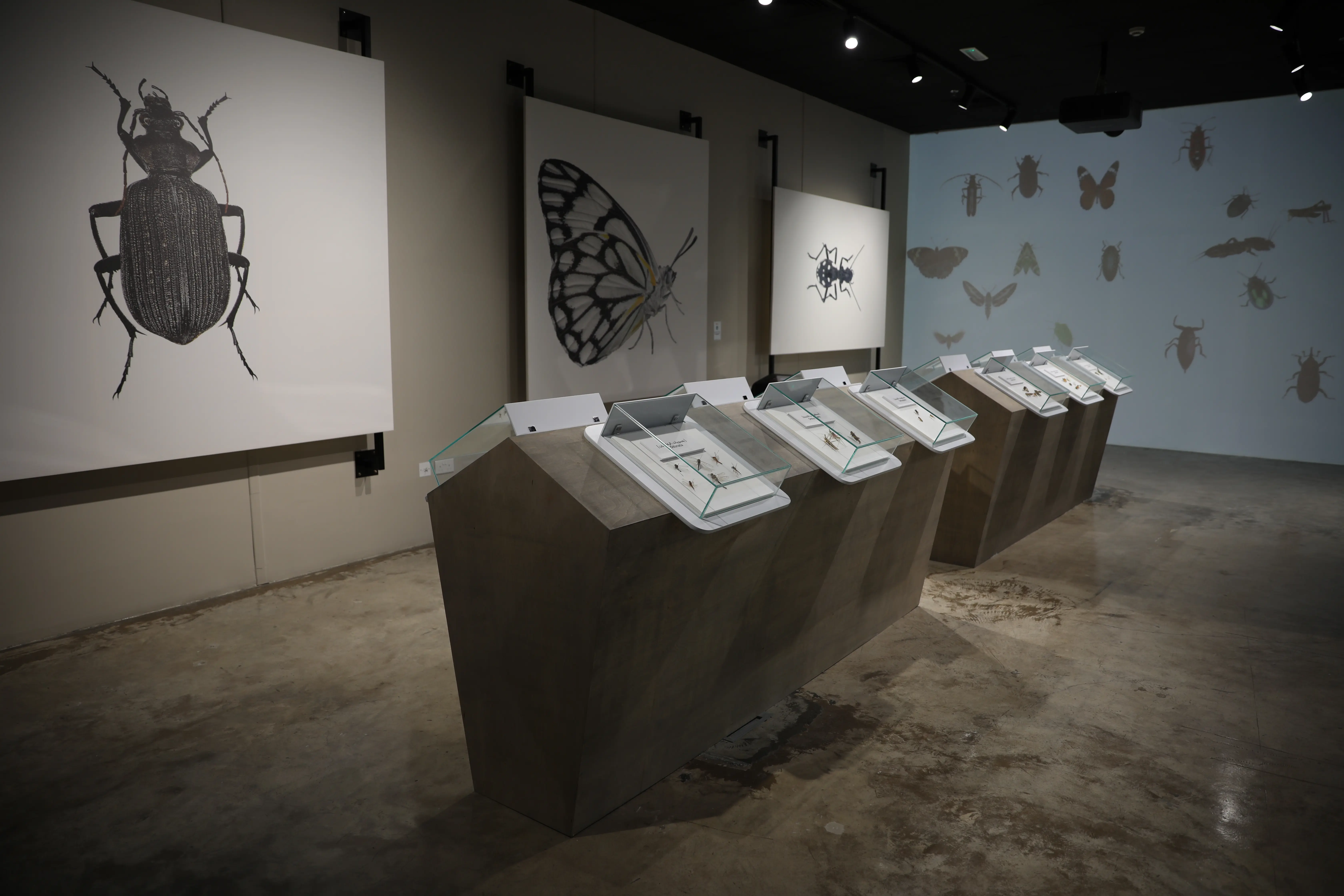 Al Dhaid Wildlife Centre Experiences caseStudy14.title.line2 - 2